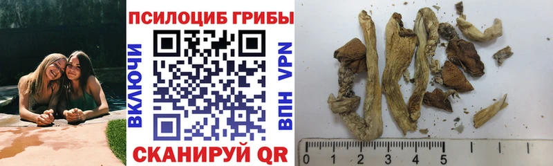 Галлюциногенные грибы GOLDEN TEACHER  Рославль 