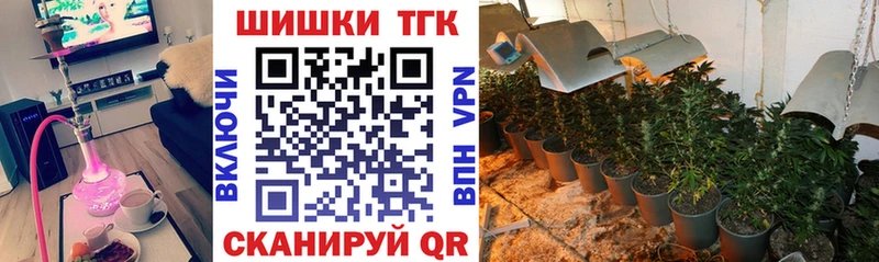 Конопля сатива  Рославль 